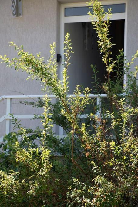 Anadora 2: Hospitable Stone House With Yard Appartement Alexandroupolis Buitenkant foto