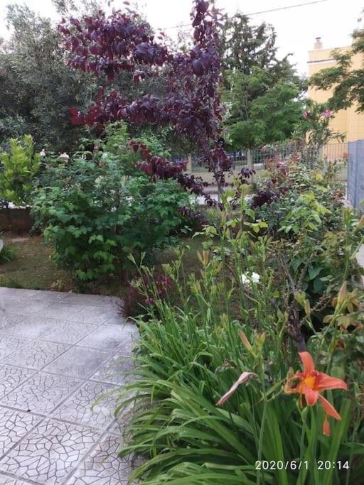 Anadora 2: Hospitable Stone House With Yard Appartement Alexandroupolis Buitenkant foto