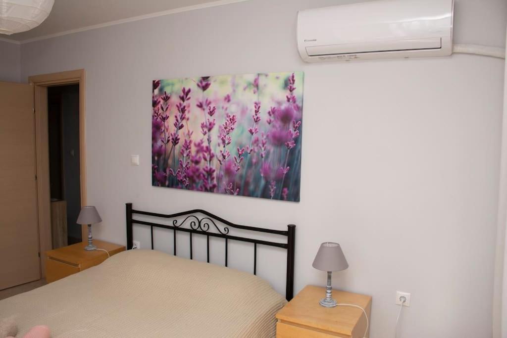 Anadora 2: Hospitable Stone House With Yard Appartement Alexandroupolis Buitenkant foto